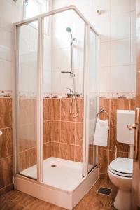 a bathroom with a shower and a toilet at Pensiunea Ana in Baile Felix