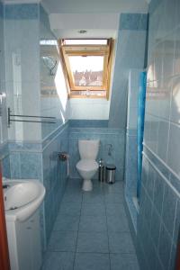 ウストカにあるDomowe Zaciszeの青いバスルーム(トイレ、シンク付)