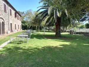 a group of tables and chairs under a palm tree at Residence La Casaccia in Venturina Terme