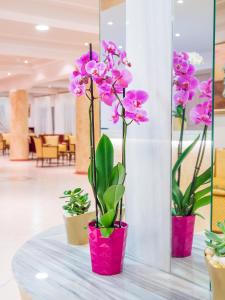 Fotografie z fotogalerie ubytování CNic Gemini Hotel v destinaci Mesongi