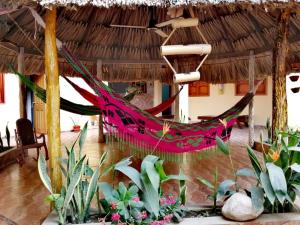 Κήπος έξω από το Hostal Naybrep