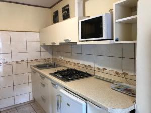 a kitchen with a stove and a microwave at Butai labai geroje vietoje prie juros in Palanga