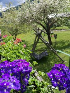 um jardim com flores roxas e um baloiço em Bio Naturhof Ottingerhof em Bad Kleinkirchheim