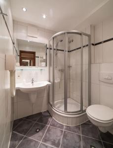 a bathroom with a shower and a toilet and a sink at Hotel Schwan in Pottenstein