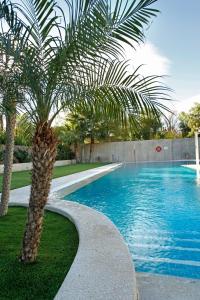 Bassein majutusasutuses Spa Jardines de Lorca või selle lähedal