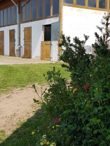 a building with wooden doors and a bush with flowers at Reitanlage Duffner in Horst