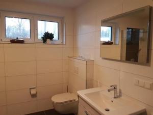 a bathroom with a toilet and a sink and a mirror at Darßer Strandgut - Haus Ahrenshooper Holz in Ahrenshoop