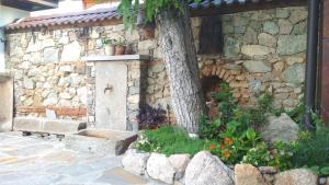Zahrada ubytování Боримечковата къща