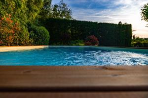 Bazén v ubytovaní Villa Le Facezie B&B alebo v jeho blízkosti