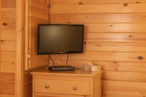 卡文迪西的住宿－菲爾維小木屋，梳妆台上方的平面电视