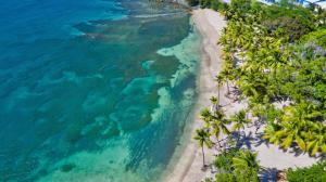 an aerial view of a beach with palm trees at Senator Puerto Plata in San Felipe de Puerto Plata