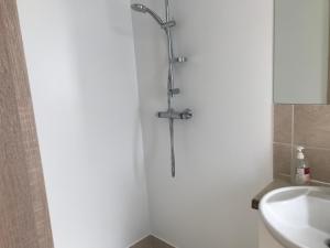 een douche in een badkamer met een wastafel bij Guesthouse Skógafoss in Skogar