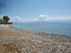 Imagen de la galería de Agios Andreas Beach Villas, en Agios Andreas - Mesenia