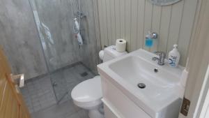 łazienka z toaletą, umywalką i prysznicem w obiekcie Hvammur 1 with private hot tub w mieście Drangsnes