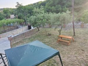 Zahrada ubytování HOSTEL FAMILY