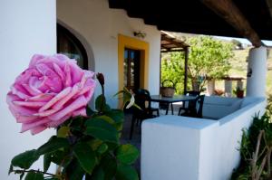 Gallery image of Casa Vacanze Dell'Avvocato in Malfa +66 photos