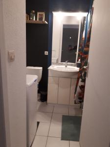 La salle de bains est pourvue d'un lavabo et de toilettes. dans l'établissement Talence, studio cosy 27 M2, Bordeaux 10 mn en tram, à Talence
