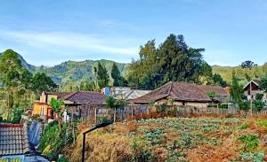 a house in a garden with a fence at Holiday Home Anggun Bromo in Bromo