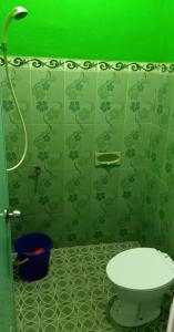 a green bathroom with a toilet and a shower at Holiday Home Anggun Bromo in Bromo