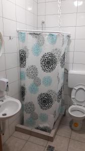 - Baño con cortina de ducha y aseo en Hostel Hercegovina en Mostar