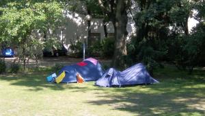 two tents in the grass under a tree at Jugendherberge-Berlin-International in Berlin