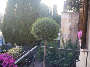 Zahrada ubytování B&B Verona Centro