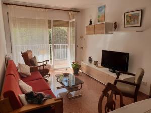 sala de estar con sofá rojo y TV de pantalla plana en Ca la Rita, en Castellfollit de la Roca