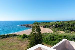 a view of a beach with a pine tree at Naiada Stomio-A apartment in Katsímbalis