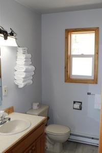 ein Bad mit einem WC, einem Waschbecken und einem Fenster in der Unterkunft Alpine Motel of Cooke City in Cooke City