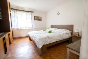 a bedroom with a bed and a window at Domačija Vesel in Trebnje