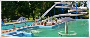 a water park with a slide in a pool at Viola vendégház in Csokonyavisonta +6 photos