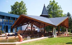 a group of people in the water in a pavilion at Viola vendégház in Csokonyavisonta