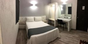 Schlafzimmer mit einem Bett, einem Schreibtisch und einem Spiegel in der Unterkunft Hotel Gallo in Guadalajara