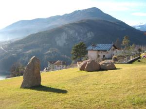 a group of rocks in a field with a mountain at Agritur Vista Lago in Revò