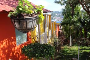 a basket of plants hanging from the side of a house at Las Casitas Hostal-Ataco in Concepción de Ataco