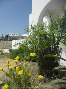 un jardín con flores amarillas frente a un edificio en Studios Parian Blu, en Logaras