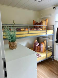 a room with two bunk beds with a potted plant at Haus Andrea in Himmelpfort