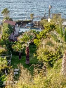 vistas a un jardín con palmeras y al océano en Georgia Seaside Villa, en Hersonissos