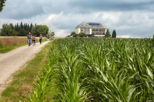 a family walking down a path through a corn field at Hotel Perekop in Berdorf