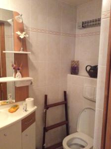 y baño con aseo y lavamanos. en CHAMBRE INDEPENDANTE + SANITAIRE près centre ville en Rignac