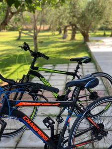 a row of bicycles parked next to each other at Anastasios Olive Garden Apartments in Petalidi
