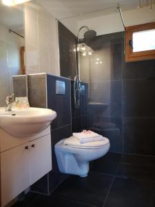 a bathroom with a sink and a toilet and a shower at Mare E Monti in Porto Pollo