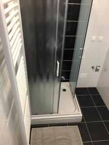 La salle de bains est pourvue d'une douche avec une porte en verre. dans l'établissement Apartman STAR, à Zagreb