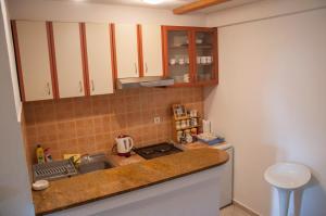Kuchyň nebo kuchyňský kout v ubytování Vuksanovic Apartment + 10 fotografií