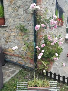 a garden with pink flowers in front of a stone wall at La Palazzina in Chiusdino
