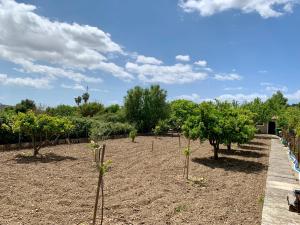 Zahrada ubytování Finca Son Macia, amplia piscina, jardines en Selva, cerca de playas