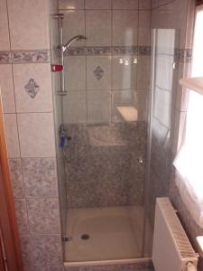 y baño con ducha y puerta de cristal. en Gite Dans Cité Médievale, en Boersch