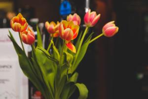 Fotografie z fotogalerie ubytování Sunninghill Hotel v destinaci Elgin