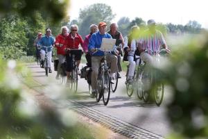 a group of people riding bikes down a road at B&B de Sfeerhoeve in Beilen