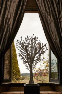 Fotografia z galérie ubytovania Hotel Castell d'Emporda v destinácii La Bisbal